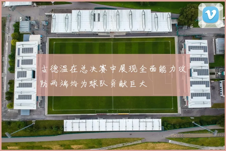 古德温在总决赛中展现全面能力攻防两端均为球队贡献巨大